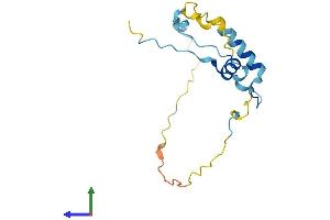 Protein Structure (PS) image for KIAA1143 (KIAA1143) (AA 1-154) protein (His tag) (ABIN7548651)