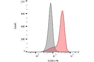 Surface staining of human peripheral blood monocytes with anti-CD205 (HD30) PE. (LY75/DEC-205 抗体  (PE))