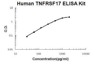Human TNFRSF17/BCMA PicoKine ELISA Kit standard curve (BCMA ELISA 试剂盒)