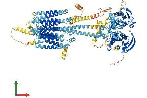 AlphaFold protein structure predicition of Human Recombinant ADCY2 Protein, UniprotID Q08462
