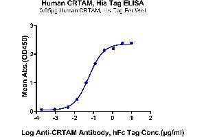 ELISA image for Cytotoxic and Regulatory T Cell Molecule (CRTAM) (AA 18-287) protein (His tag) (ABIN7274416)