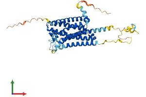 AlphaFold protein structure predicition of Human Recombinant GPR173 Protein, UniprotID Q9NS66