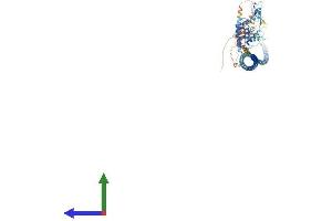 Protein Structure (PS) image for RUN and FYVE Domain Containing 1 (RUFY1) (AA 1-712) protein (His tag) (ABIN7558680)