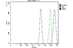 Flow Cytometry analysis of Caco-2 cells using anti-GFPT1 antibody (ABIN7602887). (GFPT1 抗体  (C-Term))