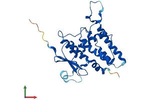 Protein Structure (PS) image for Chloride Intracellular Channel 2 (CLIC2) (AA 1-247) protein (His tag) (ABIN7546562)