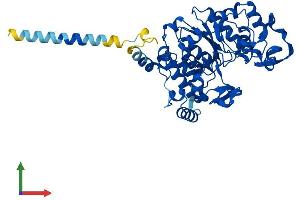 Protein Structure (PS) image for Glucosaminyl (N-Acetyl) Transferase 3, Mucin Type (GCNT3) (AA 1-438) protein (His tag) (ABIN7547954)