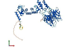 Protein Structure (PS) image for Kelch-Like 6 (KLHL6) (AA 1-621) protein (His tag) (ABIN7548748)