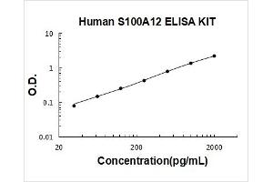 S100 Calcium Binding Protein A12 (S100A12) ELISA Kit
