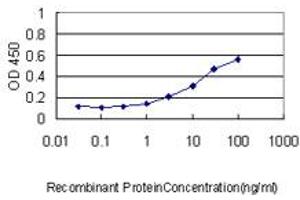 Detection limit for recombinant GST tagged YBX1 is approximately 0. (YBX1 抗体  (AA 51-139))