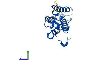 Protein Structure (PS) image for ORM1-Like 3 (ORMDL3) (AA 1-153) protein (His tag) (ABIN7550263)