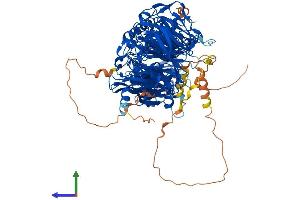 AlphaFold protein structure predicition of Human Recombinant LLGL2 Protein, UniprotID Q6P1M3