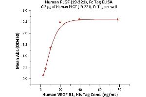 ELISA image for Placenta Growth Factor (PGF) (AA 19-221) (Active) protein (Fc Tag) (ABIN6973195)