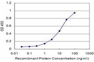 Detection limit for recombinant GST tagged PROX1 is approximately 1ng/ml as a capture antibody. (PROX1 抗体  (AA 638-737))