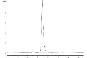 Size-exclusion chromatography-High Pressure Liquid Chromatography (SEC-HPLC) image for Receptor Tyrosine Kinase-Like Orphan Receptor 1 (ROR1) (AA 30-403) protein (His-Avi Tag) (ABIN7275532)