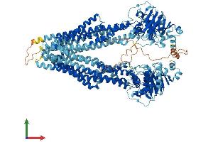 Protein Structure (PS) image for ATP-Binding Cassette, Sub-Family B (MDR/TAP), Member 5 (ABCB5) (AA 1-1255) protein (His tag) (ABIN7562069)
