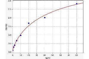 Typical standard curve (MAPK14 ELISA 试剂盒)