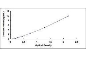 Uroplakin 3A (UPK3A) ELISA Kit