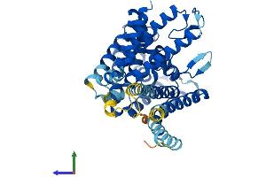 Protein Structure (PS) image for Porcupine Homolog (PORCN) (AA 1-461) protein (His tag) (ABIN7550969)