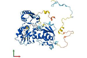 AlphaFold protein structure predicition of Mouse Recombinant Dph2 Protein, UniprotID Q9CR25