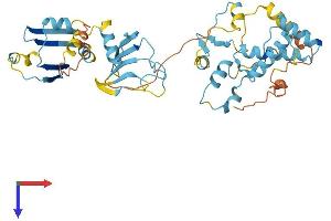 AlphaFold protein structure predicition of Human Recombinant HSP90AA4P Protein, UniprotID Q58FG1 (HSP90AA4P Protein (AA 1-418) (His tag))