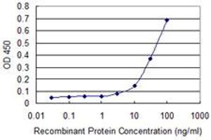 Detection limit for recombinant GST tagged PCAF is approximately 10ng/ml as a capture antibody. (KAT2B 抗体  (AA 353-452))