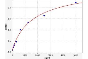 Typical standard curve (ELOVL7 ELISA 试剂盒)