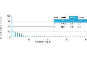 Protein Array (PAr) image for anti-Regulator of G-Protein Signaling 5 (RGS5) antibody (ABIN7455974) (RGS5 抗体)