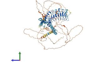 Protein Structure (PS) image for Centrosomal Protein 97kDa (CEP97) (AA 1-865) protein (His tag) (ABIN7553353)