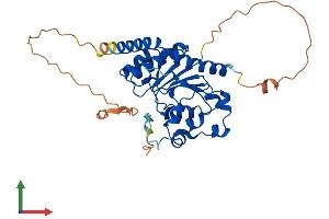 Protein Structure (PS) image for SRR1 Domain Containing (SRRD) (AA 1-339) protein (His tag) (ABIN7546314)