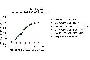 S1 Protein of different corona strain mutants (produced in Hi5 cells) were coated on an ELISA plate at 100 ng. (Recombinant SARS-CoV-2 Spike 抗体  (AA 319-541))