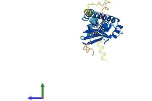 Protein Structure (PS) image for Popeye Domain Containing 3 (POPDC3) (AA 1-291) protein (His tag) (ABIN7550842)