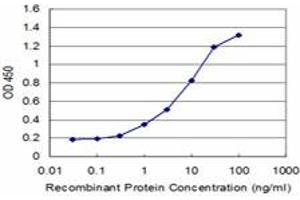 Detection limit for recombinant GST tagged XRCC2 is approximately 0.