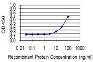 Detection limit for recombinant GST tagged KIF13B is 3 ng/ml as a capture antibody. (KIF13B 抗体  (AA 1-100))