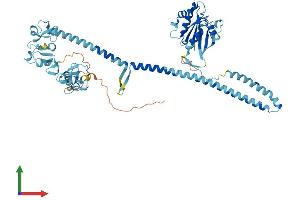 Protein Structure (PS) image for Tripartite Motif Containing 23 (TRIM23) (AA 1-574) protein (His tag) (ABIN7558590)