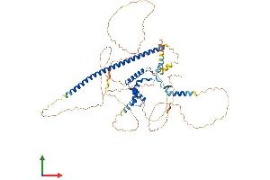 Protein Structure (PS) image for SRY (Sex Determining Region Y)-Box 13 (SOX13) (AA 1-622) protein (His tag) (ABIN7546220)