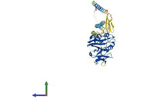 AlphaFold protein structure predicition of Mouse Recombinant Fibcd1 Protein, UniprotID A2AV25