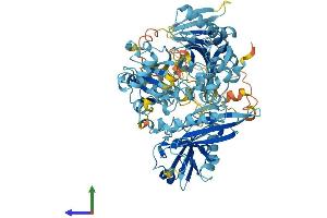 AlphaFold protein structure predicition of Mouse Recombinant Avil Protein, UniprotID O88398