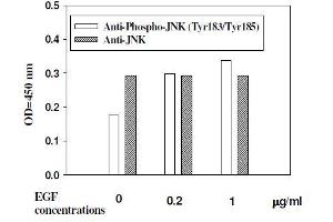 Image no. 2 for Mitogen-Activated Protein Kinase 8 (MAPK8) ELISA Kit (ABIN1981833)