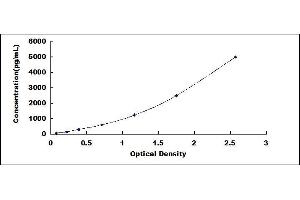 Typical standard curve (CHST7 ELISA 试剂盒)