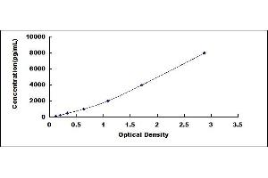 Typical standard curve (SERPINH1 ELISA 试剂盒)