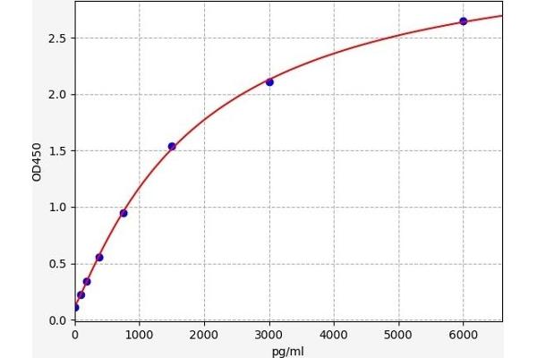 MASP1 ELISA 试剂盒