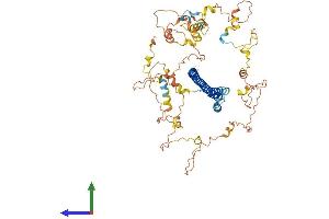 Protein Structure (PS) image for Nuclear Receptor Coactivator 4 (NCOA4) (AA 1-614) protein (His tag) (ABIN7549672)