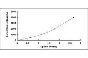 ELISA image for Tumor Necrosis Factor (Ligand) Superfamily, Member 15 (TNFSF15) ELISA Kit (ABIN418288)
