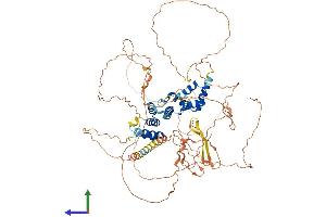 Protein Structure (PS) image for Homeobox protein SIX5 (SIX5) (AA 1-739) protein (His tag) (ABIN7555570)