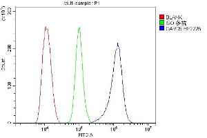 Flow Cytometry analysis of THP-1 cells using anti-CARD9 antibody (ABIN7599386). (CARD9 抗体  (AA 1-429))