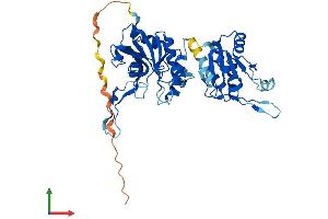 Protein Structure (PS) image for Cytidine Monophosphate N-Acetylneuraminic Acid Synthetase (CMAS) (AA 1-432) protein (His tag) (ABIN7560341)