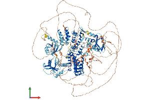Protein Structure (PS) image for Rap Guanine Nucleotide Exchange Factor (GEF) 2 (RAPGEF2) (AA 1-1499) protein (His tag) (ABIN7555259)