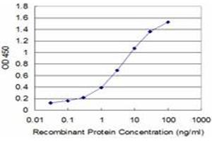 Detection limit for recombinant GST tagged PLP1 is approximately 0. (PLP1 抗体  (AA 177-232))
