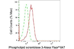 Flow cytometric analysis of Phospholipid scramblase 3 expression in H9c2 cells using Phospholipid scramblase 3 antibody (ABIN7799827), 1:2,000). (Recombinant PLSCR3 抗体)