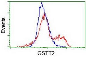 HEK293T cells transfected with either RC200040 overexpress plasmid (Red) or empty vector control plasmid (Blue) were immunostained by anti-GSTT2 antibody (ABIN2453887), and then analyzed by flow cytometry. (GSTT2 抗体)